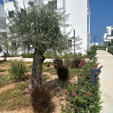 Cove Garden Cyprus Mup *
